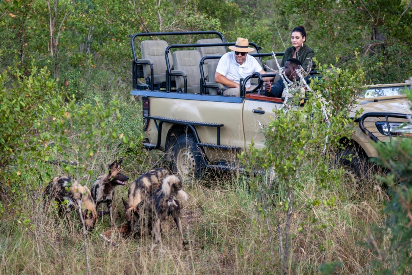 Leopard Hills Private Game Reserve Sabi Sand Game Reserve Εξωτερικό φωτογραφία