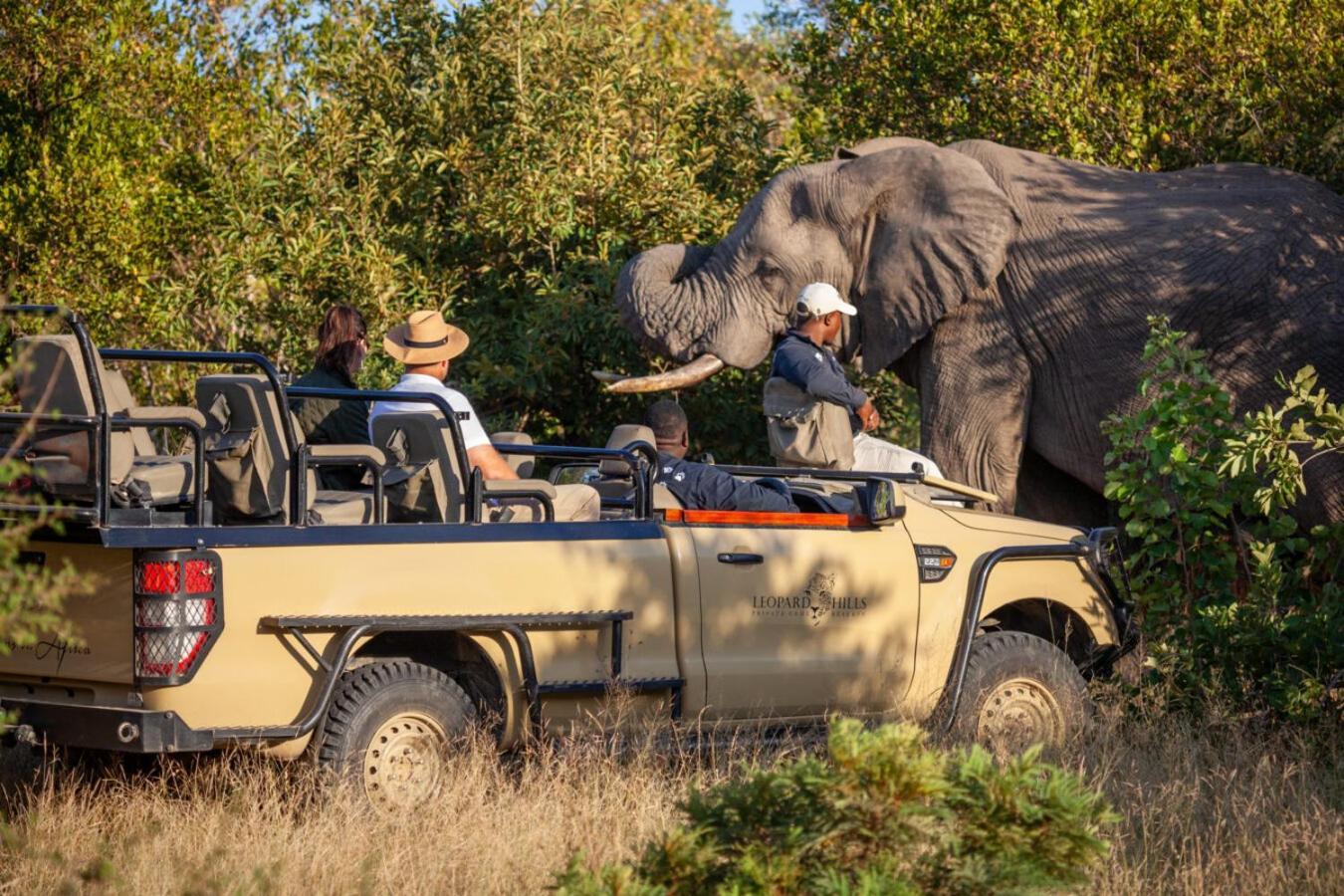 Leopard Hills Private Game Reserve Sabi Sand Game Reserve Εξωτερικό φωτογραφία