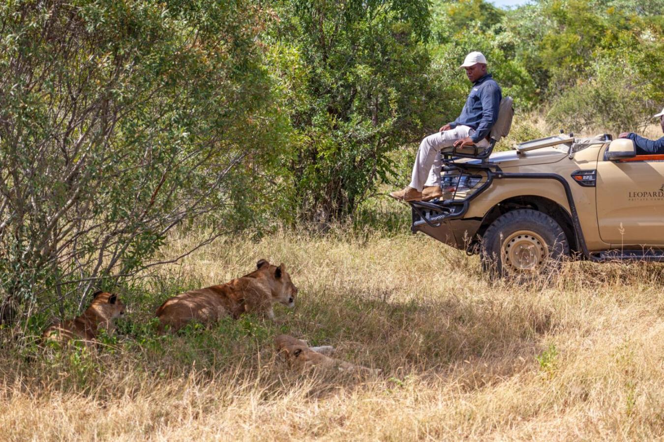 Leopard Hills Private Game Reserve Sabi Sand Game Reserve Εξωτερικό φωτογραφία