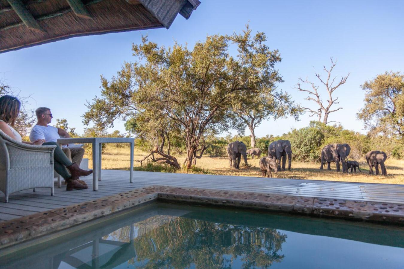 Leopard Hills Private Game Reserve Sabi Sand Game Reserve Εξωτερικό φωτογραφία
