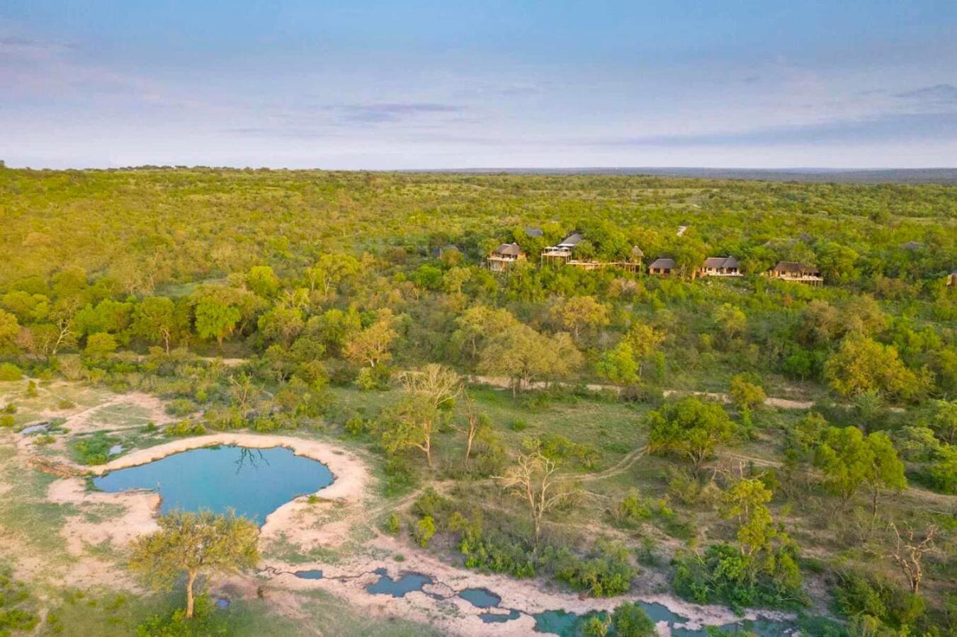Leopard Hills Private Game Reserve Sabi Sand Game Reserve Εξωτερικό φωτογραφία