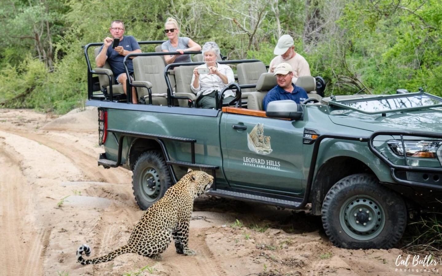 Leopard Hills Private Game Reserve Sabi Sand Game Reserve Εξωτερικό φωτογραφία
