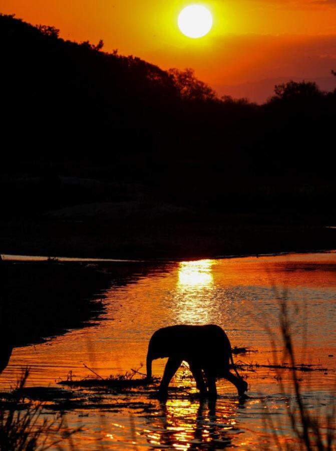 Leopard Hills Private Game Reserve Sabi Sand Game Reserve Εξωτερικό φωτογραφία